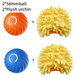 Pet Dog Rubber Ball Toys : Blue Orange 2 Urchin Set