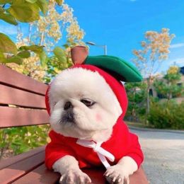 Cute Fruit Hoodies For Puppies/Small Dogs, Winter Warm Fleece  -1 Style-XL