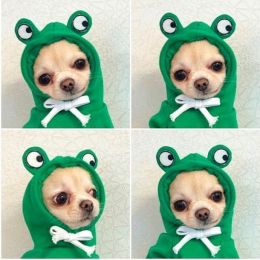 Cute Fruit Hoodies For Puppies/Small Dogs, Winter Warm Fleece  -5 Style-XS