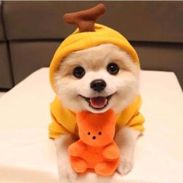Cute Fruit Hoodies For Puppies/Small Dogs, Winter Warm Fleece  -7 Style-S