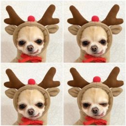 Cute Fruit Hoodies For Puppies/Small Dogs, Winter Warm Fleece  -6 Style-M