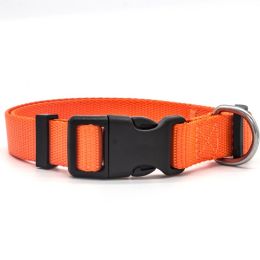 New Pet Collar:Orange-L