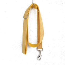 Nala pet dog  :Leash-XL