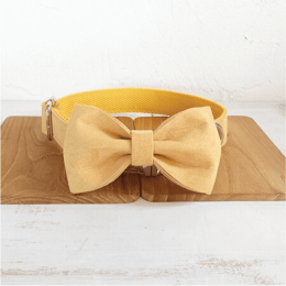 Nala pet dog  :Bow plus Collar-XS