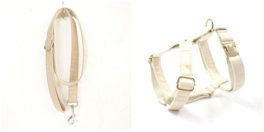 Dog collar traction rope-Set-L