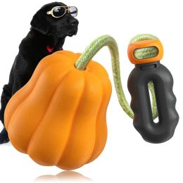 PROKEl  Interactive  Training Tug Of War Ball, Halloween  -Orange