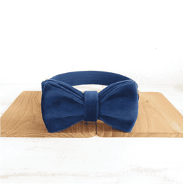 Dark Blue Velvet :Bow Tie plus Collar-XXL