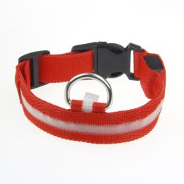 LED Luminous Pet Dog Collar Night: Red Light-Rechargeable M