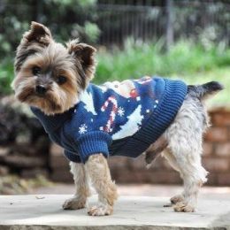 Combed Cotton Ugly Reindeer Holiday Dog Sweater (Color/Size: 2X-Large)