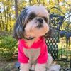 Block Dog Hoodie